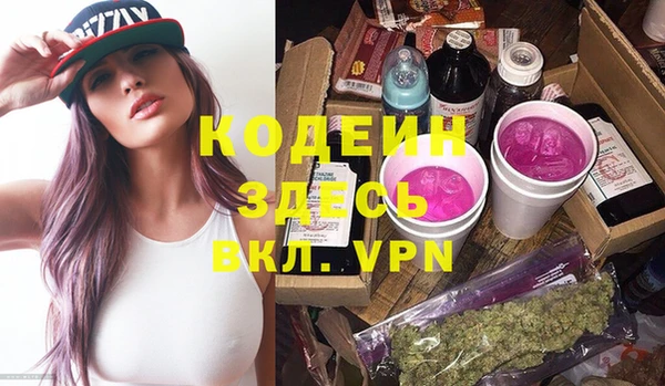 2c-b Бородино