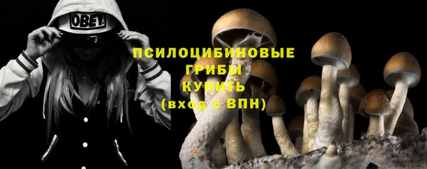 spice Бронницы