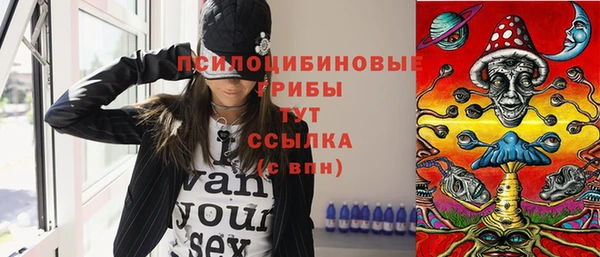 spice Бронницы