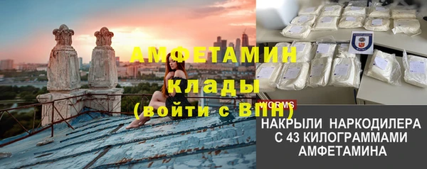 2c-b Бородино