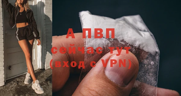 spice Бронницы