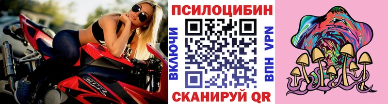 Галлюциногенные грибы Cubensis  сколько стоит  Нелидово 